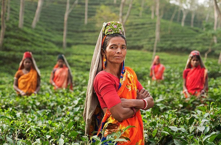 L'humanité a compris très tôt quels bienfaits elle pouvait tirer de la nature. L'aromathérapie réveille en nous cette mémoire millénaire.